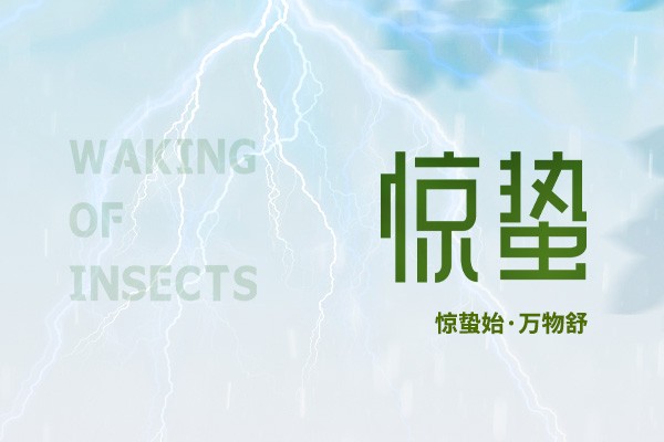 時至驚蟄 | 春雷始鳴，萬物生機(jī)盎然